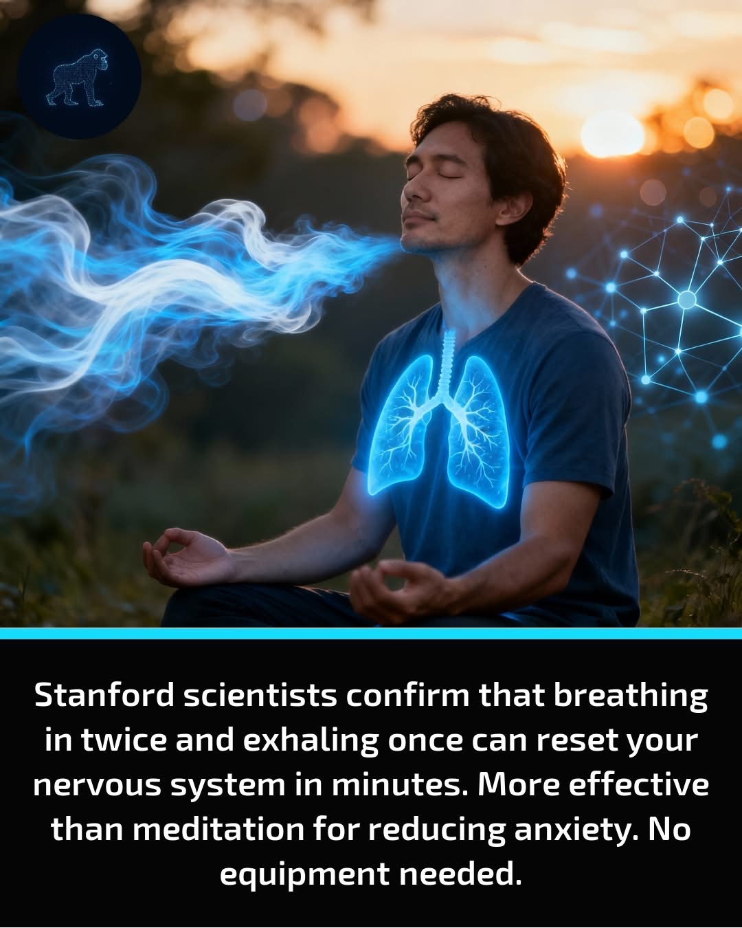 Påstand om pusteteknikk fra Stanford
