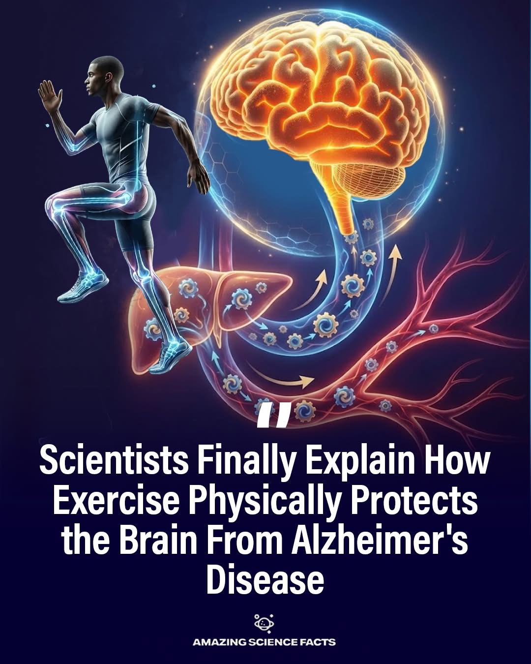Påstand om trening og Alzheimers